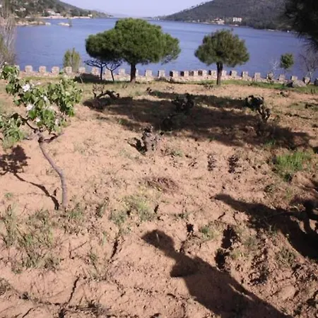 Island With Castle Chalet